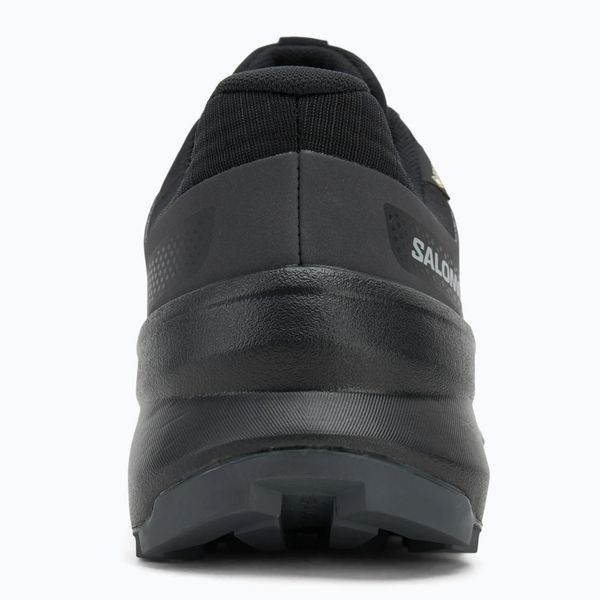 Кросівки SALOMON SPEEDCROSS PEAK GTX 478538 478538 фото