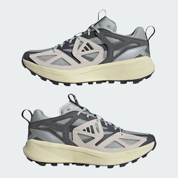 Кросівки Adidas Kantai Trail &lsquo;Silver Grey&rsquo; JR5609 JR5609 фото