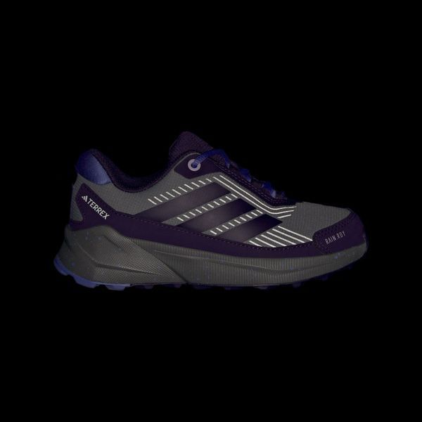 Кроссовки Adidas Terrex Trailmaker 2 RAIN.RDY Hiking (JS2939) JS2939 фото