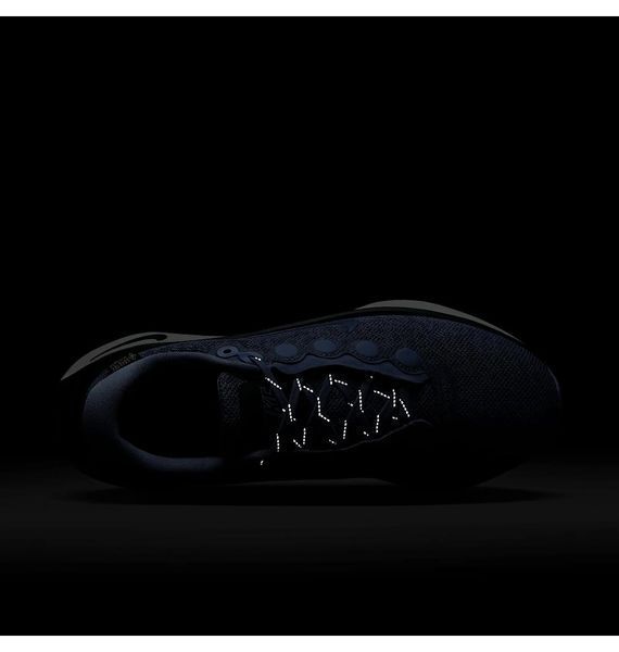 Кросівки Nike Motiva GORE-TEX W HM0355-401 HM0355-401 фото