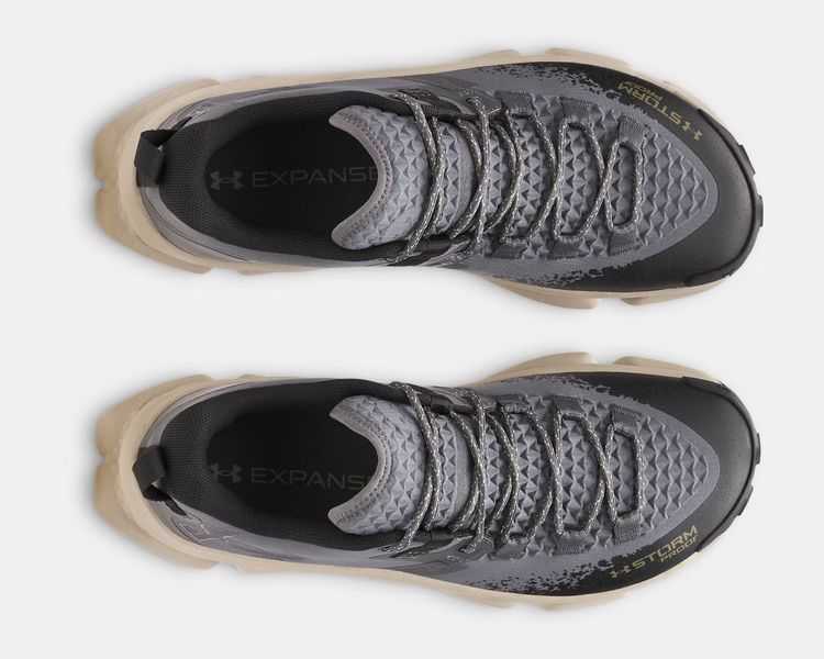 Кроссовки UNDER ARMOUR Charged Expanse Low Waterproof 6000768-025 6000768-025 фото