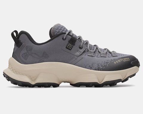 Кросівки UNDER ARMOUR Charged Expanse Low Waterproof 6000768-025 6000768-025 фото