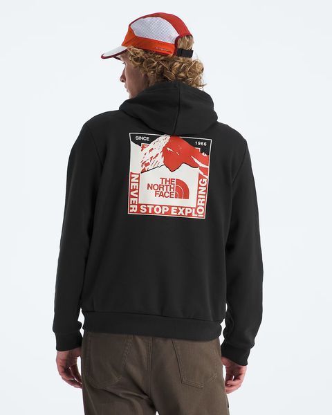 Худі The North Face Mountain Scape Regular Hoodie NF0A8GMG NF0A8GMG фото