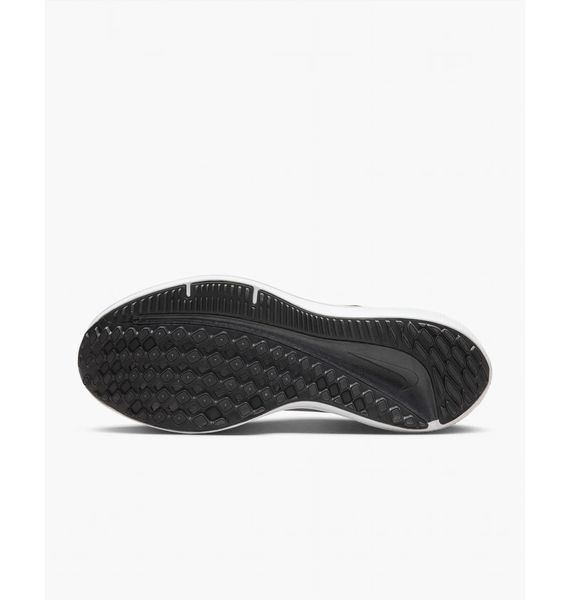 Кросівки Nike Winflo 10 Road Running DV4022-007 DV4022-007  фото