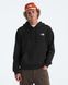 Худі The North Face Mountain Scape Regular Hoodie NF0A8GMG NF0A8GMG фото 1